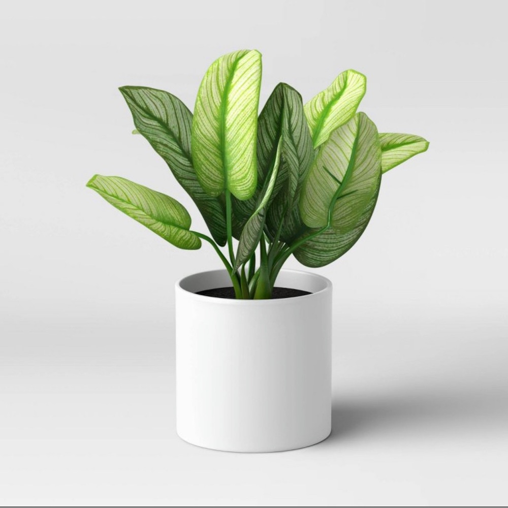 Threshold Potted Faux Plant 3 in the box 7" x 11" Artificial Variegated Leaf